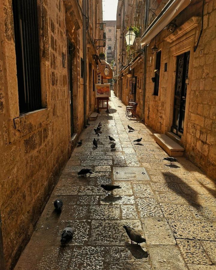 Charming Room In Dubrovnik Old Town ภายนอก รูปภาพ